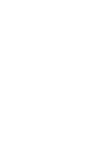 Layer_1-1-295x552-1